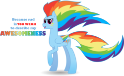 Size: 6000x3669 | Tagged: safe, artist:ambassad0r, rainbow dash, pegasus, pony, g4, absurd resolution, alternate hairstyle, colored wings, female, folded wings, mare, multicolored wings, rainbow power, rainbow wings, simple background, solo, transparent background, vector, wings