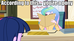 Size: 960x540 | Tagged: safe, edit, edited screencap, screencap, princess celestia, principal celestia, twilight sparkle, equestria girls, g4, celestia's folder, celestia's office, image macro, meme, you don't say