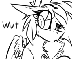 Size: 1101x912 | Tagged: source needed, useless source url, safe, artist:ralek, oc, oc only, oc:sapphire sights, pegasus, pony, fallout equestria, bendy straw, drinking, drinking straw, monochrome, portrait, raised eyebrow, reaction image, sipping, solo, sparkle cola, straw