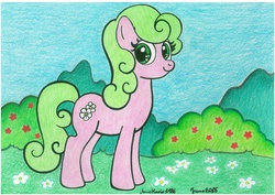 Size: 7015x4960 | Tagged: safe, artist:annemarie1986, daisy, flower wishes, g4, absurd resolution, female, solo, traditional art
