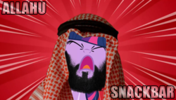 Size: 1017x583 | Tagged: safe, edit, edited screencap, screencap, twilight sparkle, g4, allahu akbar, female, islam, op is a duck, solo, we are going to hell