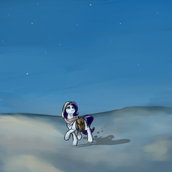 Size: 1000x1000 | Tagged: safe, artist:kira-minami, rarity, pony, g4, desert, female, saddle bag, solo