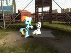 Size: 1024x768 | Tagged: safe, derpy hooves, rainbow dash, pegasus, pony, g4, 3d, baseball, female, gmod, mare