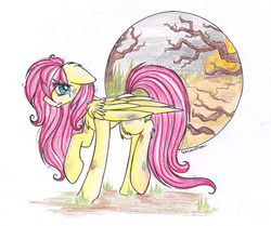 Size: 2516x2104 | Tagged: safe, artist:schizoidtomii, fluttershy, pegasus, pony, g4, colored, crying, female, high res, mare, sad, solo, traditional art, wings