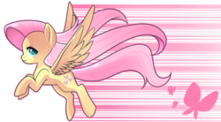 Size: 900x495 | Tagged: safe, artist:haydee, fluttershy, g4, cute, female, flying, looking at you, solo