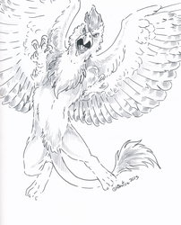 Size: 2472x3064 | Tagged: safe, artist:hbruton, oc, oc only, oc:serilde, griffon, high res, monochrome, solo, traditional art