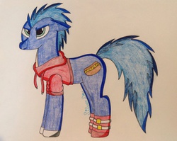 Size: 1024x814 | Tagged: safe, artist:silversongwolf, pony, clothes, hoodie, male, ponified, shoes, solo, sonic the hedgehog, sonic the hedgehog (series)