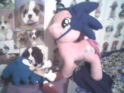 Size: 640x480 | Tagged: safe, artist:princessshannon07, pinkie pie, earth pony, pony, g4, classic sonic, crossover, hat, irl, male, photo, plushie, sonic the hedgehog, sonic the hedgehog (series)