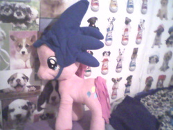 Size: 640x480 | Tagged: safe, artist:princessshannon07, pinkie pie, earth pony, pony, g4, crossover, hat, irl, male, photo, plushie, sonic the hedgehog, sonic the hedgehog (series)