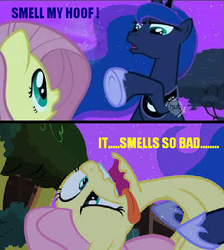 Size: 478x533 | Tagged: safe, fluttershy, princess luna, g4, hooves, image macro, meme, smelly hooves, stinky hooves