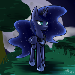 Size: 1500x1500 | Tagged: safe, artist:whazzam95, princess luna, pony, g4, female, moon, night, solo