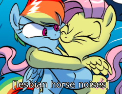 Size: 553x425 | Tagged: safe, artist:jay fosgitt, idw, fluttershy, rainbow dash, friends forever #18, g4, my little pony: friends forever, spoiler:comic, cute, descriptive noise, female, horse noises, image macro, lesbian, meme, ship:flutterdash, shipping