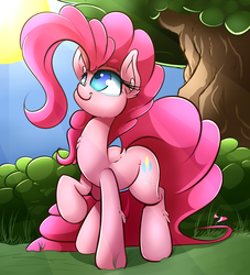 Size: 3000x3300 | Tagged: safe, artist:madacon, pinkie pie, earth pony, pony, g4, chest fluff, female, high res, mare, raised hoof, solo