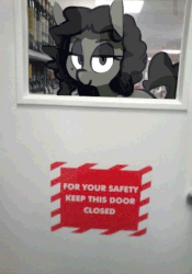 Size: 420x600 | Tagged: safe, artist:whydomenhavenipples, oc, oc only, oc:nikita, human, pony, animated, female, mare, reflection, shaking, sign, solo, vibrating, warning, when you see it