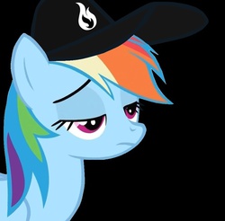 Size: 888x874 | Tagged: safe, artist:fillylover, editor:tk-clopper, rainbow dash, g4, cap, female, hat, like moths to flames, solo