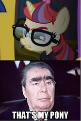 Size: 350x524 | Tagged: safe, screencap, moondancer, amending fences, g4, brows, communism, eyebrows, leonid brezhnev, meme, photo, russian, soviet, that's my pony, that's my x, thick eyebrows