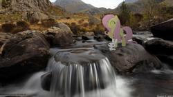 Size: 1920x1080 | Tagged: safe, artist:photomix3r, angel bunny, fluttershy, g4, irl, photo, ponies in real life, river, rock, stream, vector