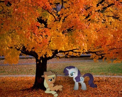 Size: 1280x1024 | Tagged: safe, artist:jrrhack, artist:perrohambre, artist:redpandapony, applejack, rarity, g4, autumn, irl, leaves, photo, ponies in real life, tree, vector