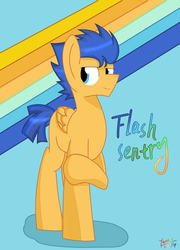 Size: 1493x2077 | Tagged: safe, artist:yaco, flash sentry, pegasus, pony, g4, male, missing cutie mark, solo, stallion