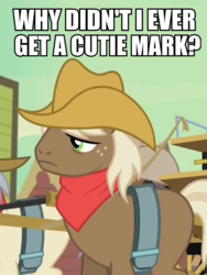 Size: 567x756 | Tagged: safe, caboose, john bull, earth pony, pony, g4, party pooped, background character, background pony, bandana, blank flank, cowboy hat, freckles, hat, image macro, male, meme, solo, stallion