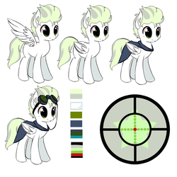 Size: 7200x7200 | Tagged: safe, artist:starshinebeast, oc, oc only, oc:bandit, pegasus, pony, absurd resolution, cape, clothes, equestria2101, male, palette, reference sheet, solo
