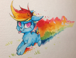 Size: 3049x2329 | Tagged: safe, artist:yellowrobin, rainbow dash, dog, g4, dogified, female, high res, rainbow dog, solo, species swap, tongue out, traditional art