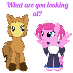 Size: 1000x1000 | Tagged: safe, artist:agirl3003, oc, oc only, oc:anime pony, oc:furry pony, pegasus, pony