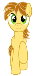 Size: 1856x3856 | Tagged: safe, artist:coolez, mandopony, earth pony, pony, g4, male, simple background, solo, stallion, transparent background, vector