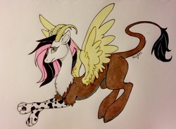 Size: 2732x2003 | Tagged: safe, artist:ameliacostanza, oc, oc only, oc:feather dream, hybrid, art trade, high res, interspecies offspring, offspring, parent:discord, parent:fluttershy, parents:discoshy, traditional art