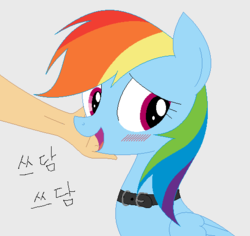 Size: 509x481 | Tagged: safe, artist:hyolark, rainbow dash, human, pegasus, pony, g4, blushing, collar, hand, korean, pet play, pet-dash, petting