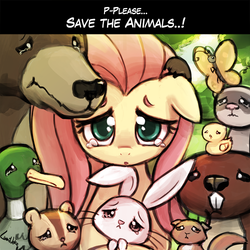 Size: 750x750 | Tagged: safe, artist:lumineko, angel bunny, fluttershy, harry, bear, butterfly, duck, ferret, pony, rabbit, angelbetes, animal, crying, cute, female, gdq, lumineko is trying to murder us, mare, set:fluttershy games done quick, sgdq, shyabetes, super metroid