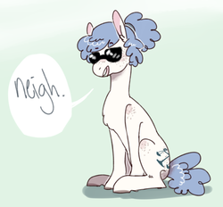 Size: 1280x1187 | Tagged: safe, artist:tokiball12345, oc, oc only, oc:caballus, body freckles, fluffy, freckles, hoovesandjustice, neigh, no, open mouth, simple background, sitting, smirk, solo, sunglasses, tumblr