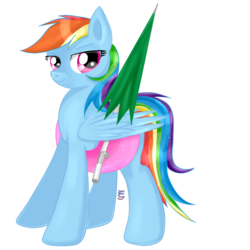 Size: 800x800 | Tagged: safe, artist:elimicho, rainbow dash, g4, female, floaty, inner ring, simple background, solo, transparent background, umbrella