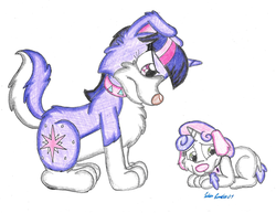 Size: 1895x1465 | Tagged: safe, artist:silversimba01, sweetie belle, twilight sparkle, dog, pony, poodle, unicorn, g4, annoyed, border collie, collar, dogified, duo, female, frown, puppy, sheepish, species swap, traditional art, twilight barkle, upset