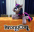 Size: 960x874 | Tagged: artist needed, safe, twilight sparkle, bronycon, bronycon 2015, g4, irl, photo, plushie