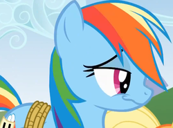 Size: 767x567 | Tagged: safe, screencap, rainbow dash, pony, fall weather friends, g4, bound wings, female, solo