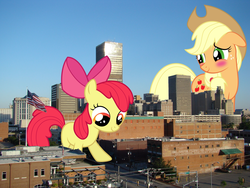 Size: 2000x1500 | Tagged: safe, artist:auskeldeo, apple bloom, applejack, earth pony, pony, g4, apple bloom's bow, blushing, bow, freckles, giant pony, giantess, hair bow, hat, highrise ponies, irl, looking down, macro, mane, oklahoma, oklahoma city, photo, ponies in real life, tail