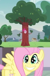 Size: 491x746 | Tagged: safe, fluttershy, pinkie pie, equestria girls, g4, my little pony equestria girls: friendship games, pinkie spy (short), meme, tree