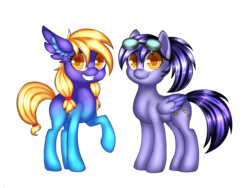 Size: 1280x960 | Tagged: safe, artist:pinipy, oc, oc only, earth pony, pegasus, pony, duo, female, mare, raised hoof