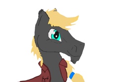 Size: 1136x755 | Tagged: safe, artist:kovich, oc, oc only, oc:kovich, horse, pony, clothes, cute, happy, jacket, male, ribbon, simple background, smiling, solo, stallion, vest, white background