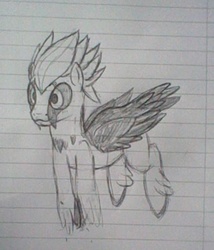 Size: 415x485 | Tagged: safe, bird pone, pony, vulture, monochrome, ponified, solo, traditional art