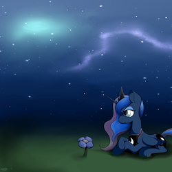 Size: 3000x3000 | Tagged: safe, artist:ironheart3498, princess luna, g4, female, flower, high res, night, prone, solo