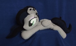 Size: 2592x1561 | Tagged: safe, artist:adamar44, oc, oc only, beanie (plushie), earring, irl, photo, piercing, plushie