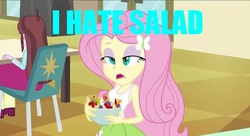 Size: 799x434 | Tagged: safe, edit, edited screencap, screencap, fluttershy, velvet sky, equestria girls, g4, my little pony equestria girls, background human, salad