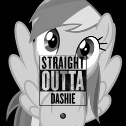 Size: 512x512 | Tagged: safe, rainbow dash, a bird in the hoof, g4, my little pony: friendship is magic, female, meme, solo, straight outta, straight outta compton