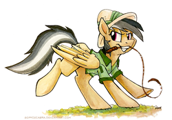 Size: 1000x695 | Tagged: safe, artist:spainfischer, daring do, pony, g4, clothes, female, signature, simple background, solo, whip