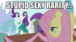 Size: 797x447 | Tagged: safe, edit, edited screencap, screencap, fluttershy, rarity, g4, butt, caption, female, image macro, lesbian, meme, plot, ship:flarity, shipping, stupid sexy flanders, stupid sexy rarity