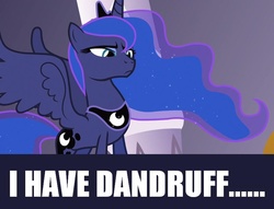 Size: 800x610 | Tagged: safe, screencap, princess luna, g4, the crystal empire, dandruff, female, meme, solo