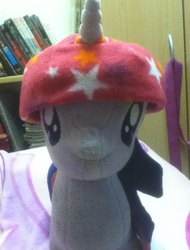 Size: 507x668 | Tagged: artist needed, safe, twilight sparkle, g4, book, cap, cute, hat, irl, jin, photo, plushie, twiabetes