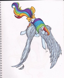 Size: 1054x1280 | Tagged: safe, artist:january-joy, rainbow dash, g4, female, solo, tail bow, traditional art